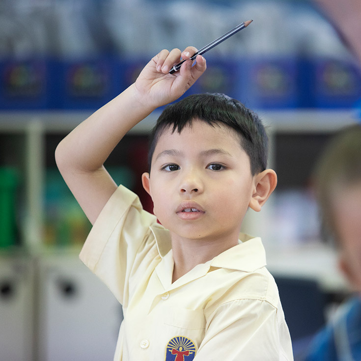 Student raising his hand in class at St Angela's Primary School Castle Hill